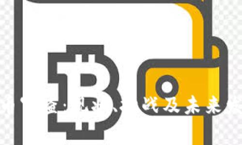 加密货币审查：现状、挑战及未来发展趋势