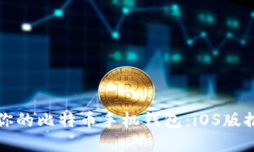 如何选择适合你的比特币手机钱包：iOS版推荐与使用技巧