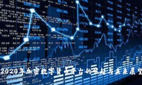2020年加密数字货币平台的崛起与未来展望