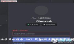 如何安全使用比特币 DAT 钱包：新手指南与常见问
