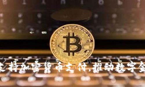 Visa宣布支持加密货币支付，推动数字金融新时代