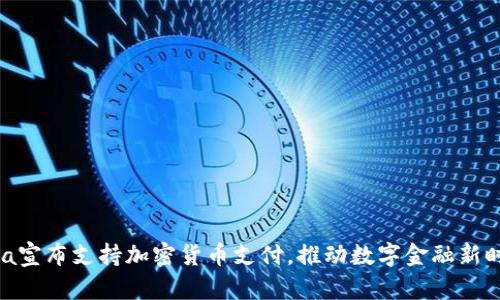 Visa宣布支持加密货币支付，推动数字金融新时代