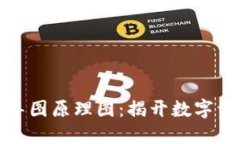 区块链钱包导图原理图：揭开数字资产安全之谜
