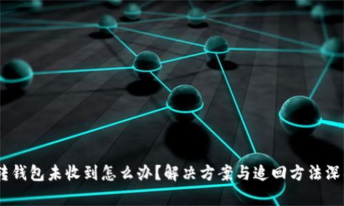 USDT转钱包未收到怎么办？解决方案与追回方法深入解析