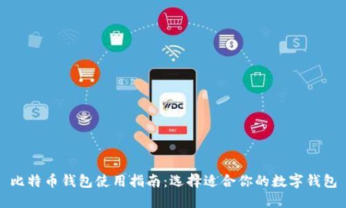 比特币钱包使用指南：选择适合你的数字钱包