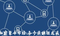 2023年加密货币市场：各个区块链龙头深入解析