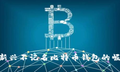 2023年：国外新兴不记名比特币钱包的崛起与未来趋势