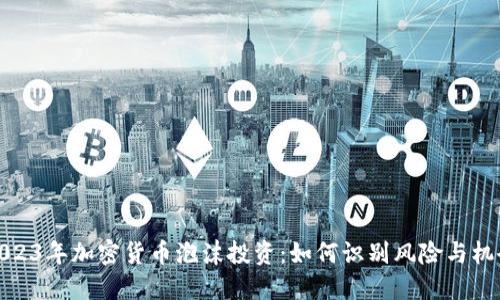 2023年加密货币泡沫投资：如何识别风险与机会