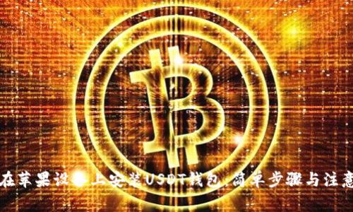 如何在苹果设备上安装USDT钱包：简单步骤与注意事项