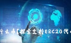 以太坊钱包存什么币？探索支持ERC20代币及其热门