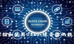 如何安全存储和使用USDT：适合你的数字钱包选择