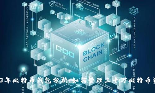 2023年比特币钱包分析：如何管理三十万比特币资产？