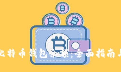 如何查询比特币钱包余额：全面指南与实用技巧