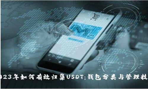 2023年如何有效归集USDT：钱包分类与管理技巧