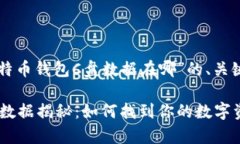 以下是针对“比特币钱包C盘数据在哪”的、关键