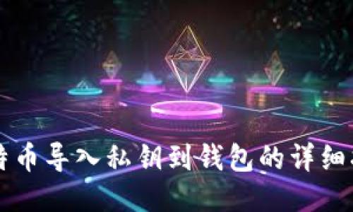 比特币导入私钥到钱包的详细指南