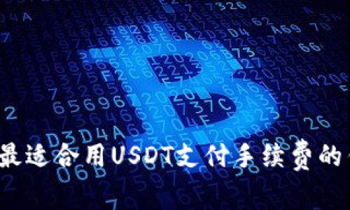 2023年最适合用USDT支付手续费的钱包推荐