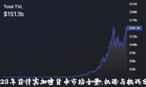 
2023年菲律宾加密货币市场全景：机遇与挑战分析