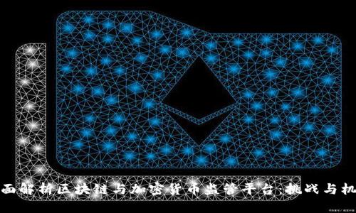 全面解析区块链与加密货币监管平台：挑战与机遇