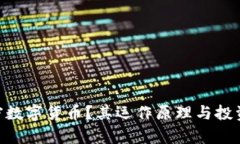 什么是BCV加密数字货币？其运作原理与投资潜力