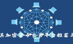 土耳其加密货币交易平台推荐与指南