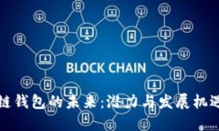 区块链钱包的未来：潜力与发展机遇探讨