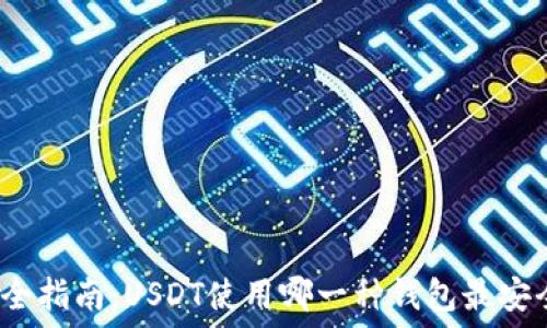   
最全指南：USDT使用哪一种钱包最安全？