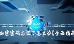 比特币钱包加密密码忘记了怎么办？全面指南与