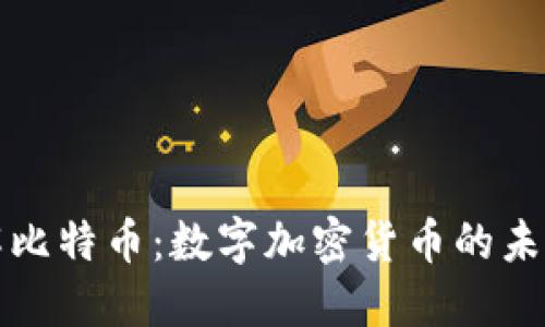 深入理解比特币：数字加密货币的未来与挑战