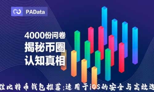 
最佳比特币钱包推荐：适用于iOS的安全与高效选择