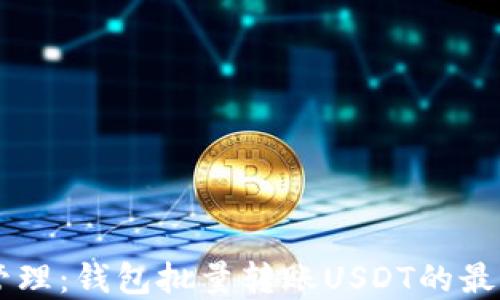 
高效管理：钱包批量转账USDT的最佳实践
