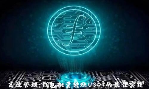 
高效管理：钱包批量转账USDT的最佳实践