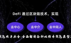 比特币钱包照片大全：全面解析各种比特币钱包