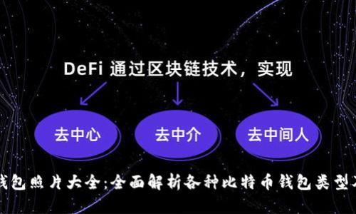 比特币钱包照片大全：全面解析各种比特币钱包类型及其特点