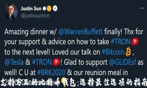 
支持分叉的比特币钱包：选择最佳选项的指南